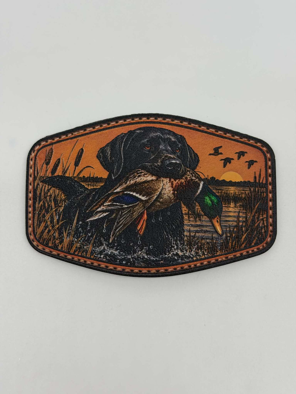 Duck Dog
